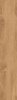 Epicentr Madera Gold 19,8x120